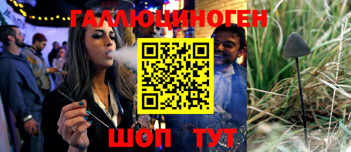 Псилоцибиновые грибы прущие грибы  Вход с VPN  Кизилюрт 